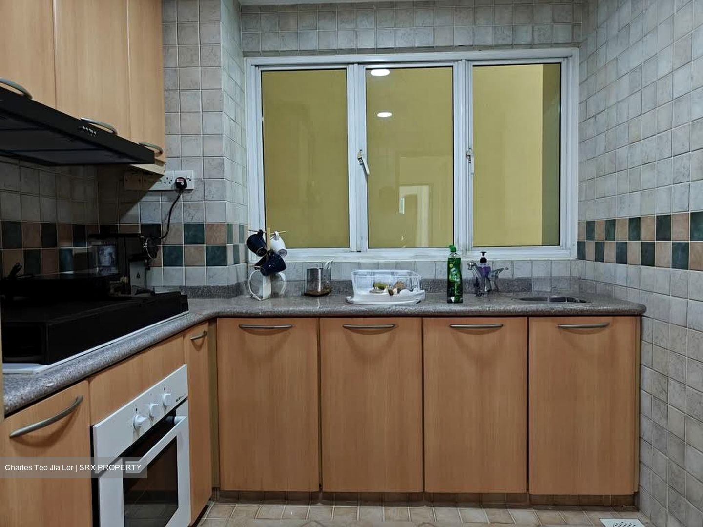Emerald Garden (D1), Condominium #561778931